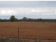 * Avondale, Cobar NSW 2835