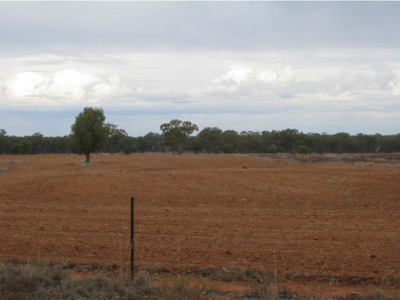 * Avondale, Cobar NSW 2835