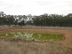 * Avondale, Cobar NSW 2835
