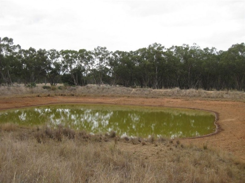 * Avondale, Cobar NSW 2835
