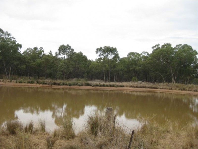 * Avondale, Cobar NSW 2835