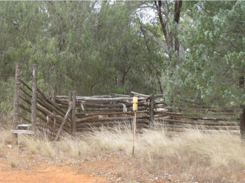 * Avondale, Cobar NSW 2835