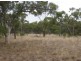 * Avondale, Cobar NSW 2835
