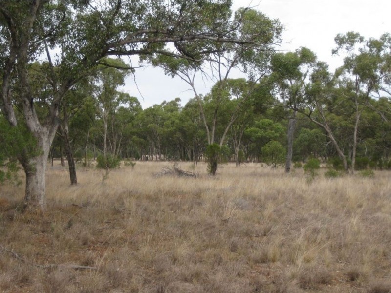 * Avondale, Cobar NSW 2835