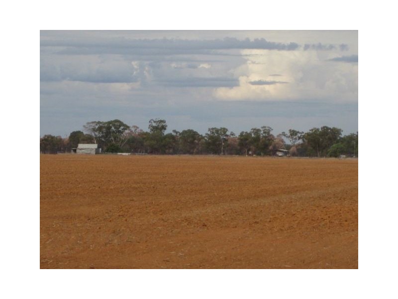 * Avondale East, Cobar NSW 2835