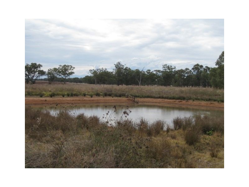 * Avondale East, Cobar NSW 2835