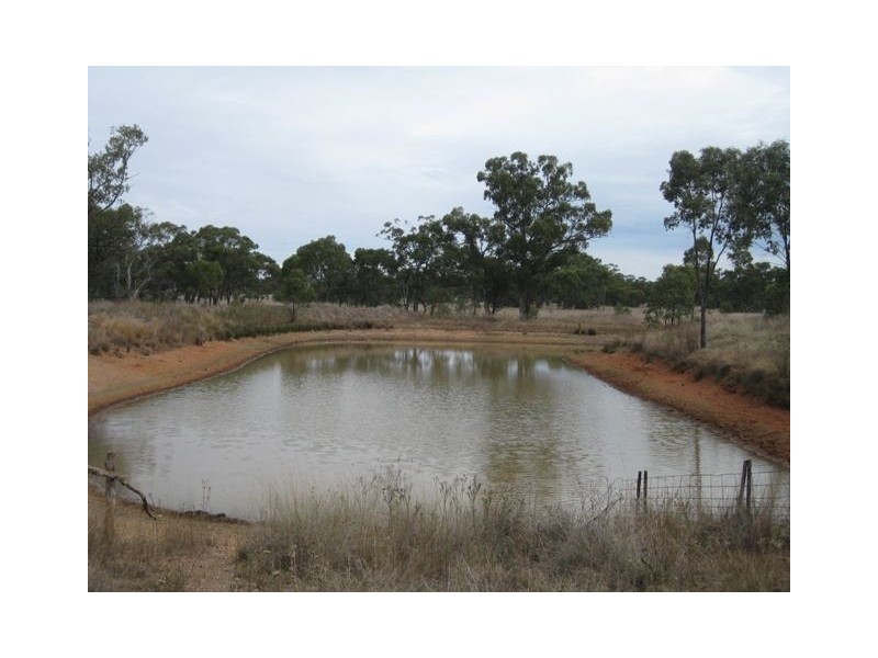 * Avondale East, Cobar NSW 2835