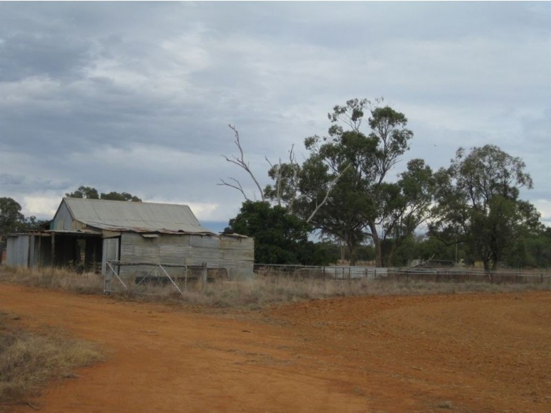 * Avondale East, Cobar NSW 2835