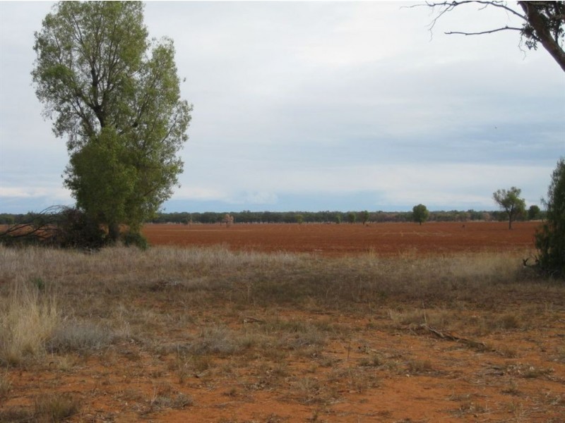 * Avondale East, Cobar NSW 2835