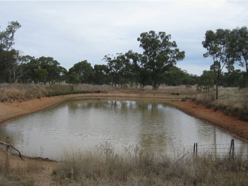 * Avondale East, Cobar NSW 2835