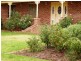 10 Bannister Court, Cobar NSW 2835