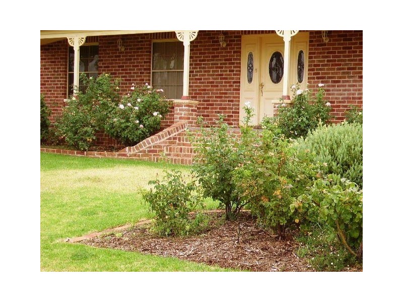 10 Bannister Court, Cobar NSW 2835