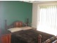 9 Echidna Avenue, Cobar NSW 2835