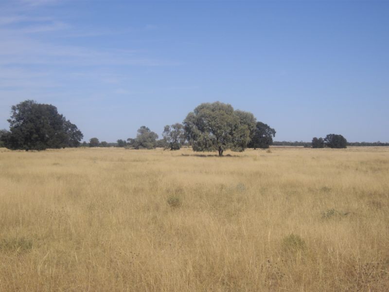 * Kartika, Nyngan NSW 2825