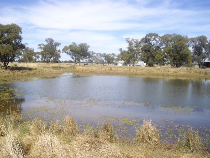* Kartika, Nyngan NSW 2825