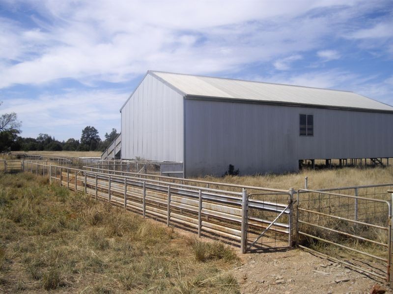 * Kartika, Nyngan NSW 2825