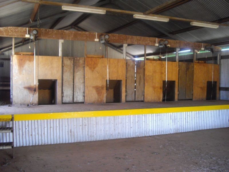 * Kartika, Nyngan NSW 2825