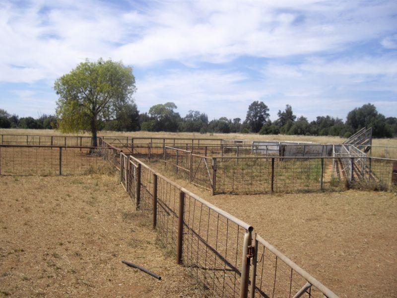 * Kartika, Nyngan NSW 2825