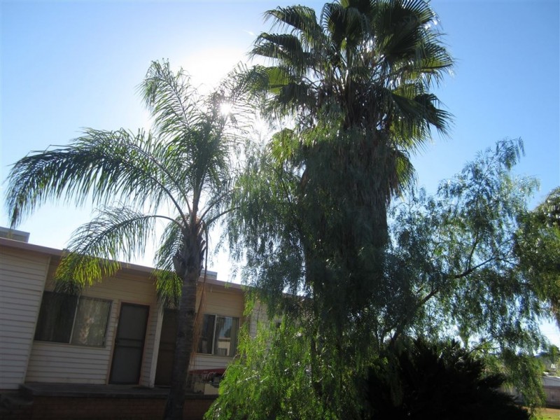 8/64-66 Bathurst Street, Cobar NSW 2835