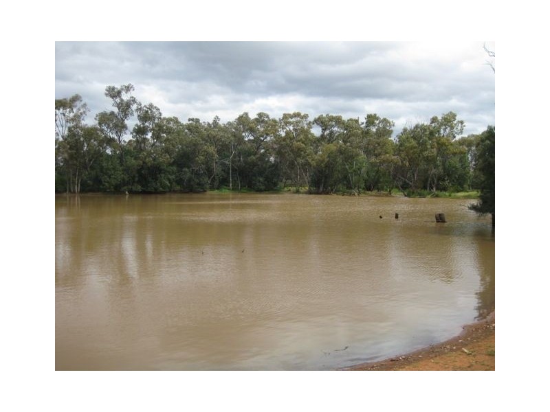 * East Runnymede, Cobar NSW 2835