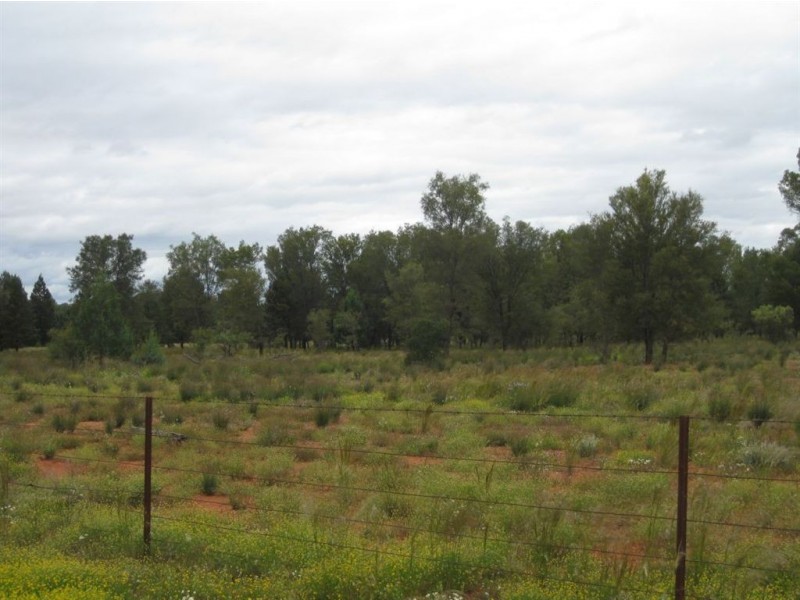 * East Runnymede, Cobar NSW 2835