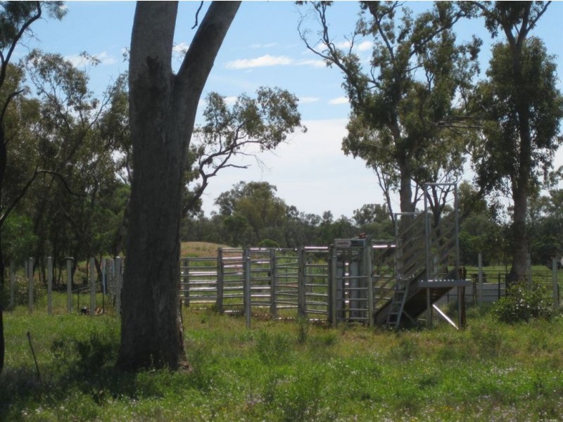 * Landsdowne** UNDER OFFER, Cobar NSW 2835