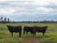 * Runnymede, Coolabah NSW 2831