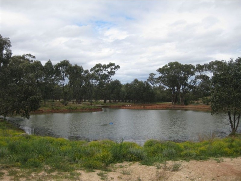 * Runnymede, Coolabah NSW 2831