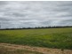* Runnymede, Coolabah NSW 2831