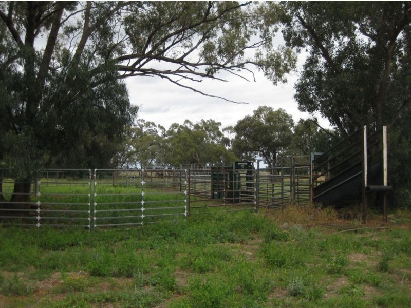 * Runnymede, Coolabah NSW 2831