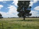 * Runnymede, Coolabah NSW 2831