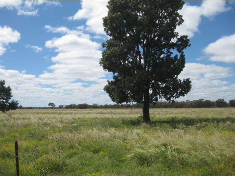 * Runnymede, Coolabah NSW 2831
