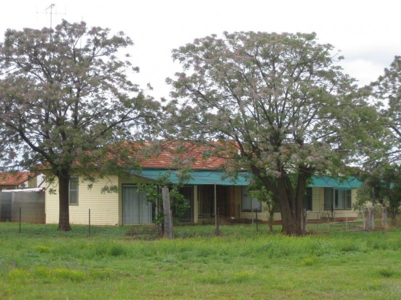 * Runnymede, Coolabah NSW 2831