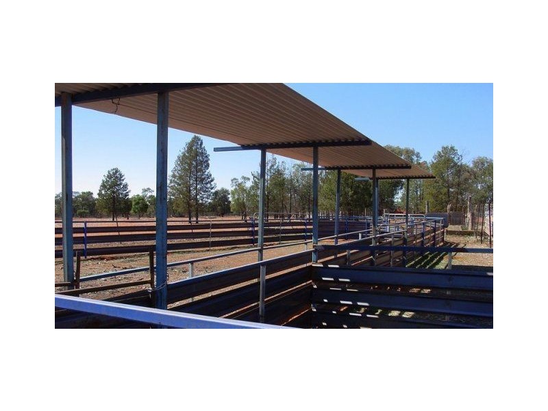 * Warinda, Cobar NSW 2835
