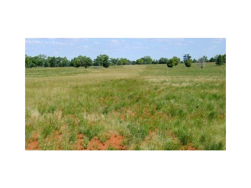 * Warinda, Cobar NSW 2835