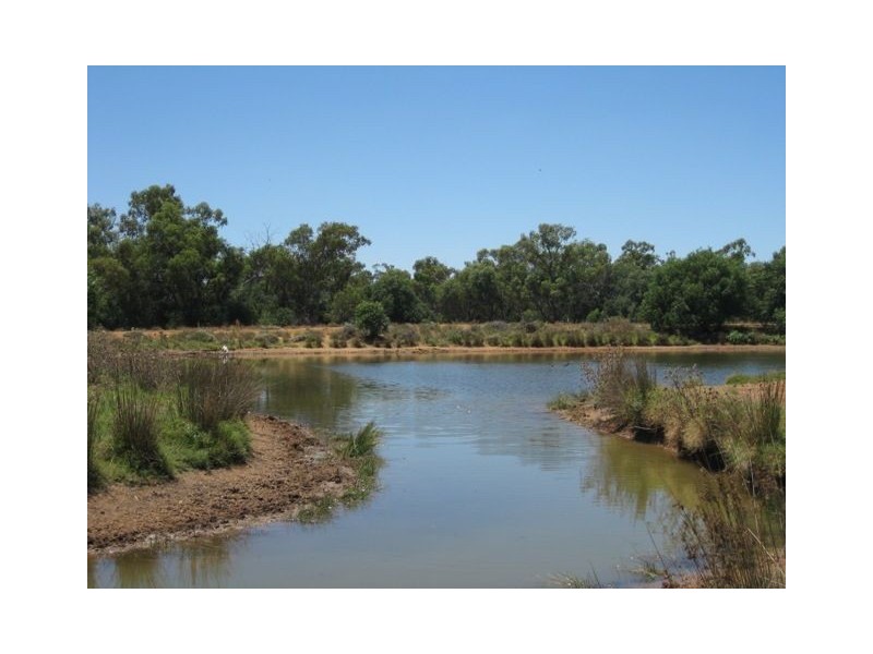 * Wilga, Cobar NSW 2835