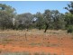 * Wilga, Cobar NSW 2835