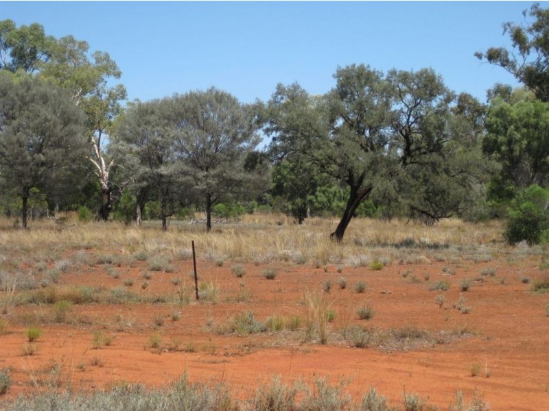 * Wilga, Cobar NSW 2835