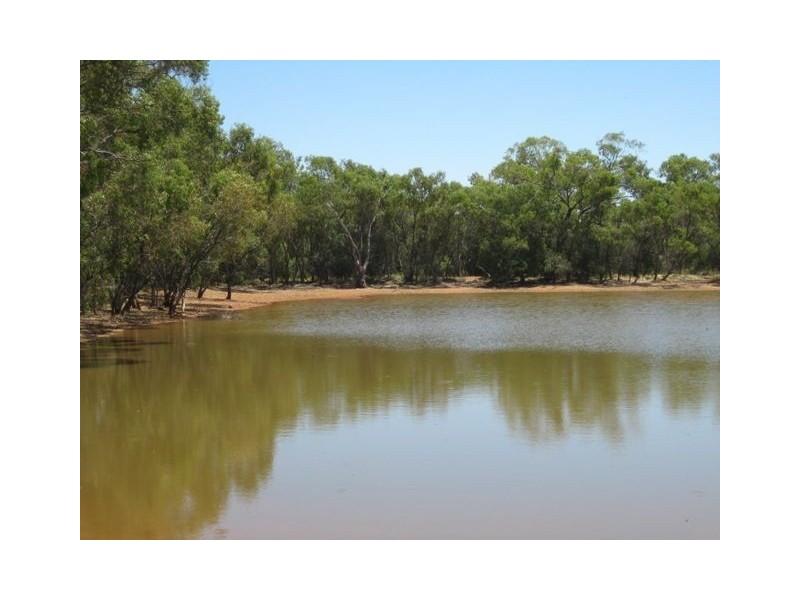 * Wilga, Cobar NSW 2835