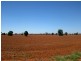 * Okeh, Cobar NSW 2835