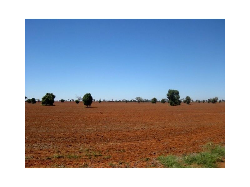 * Okeh, Cobar NSW 2835