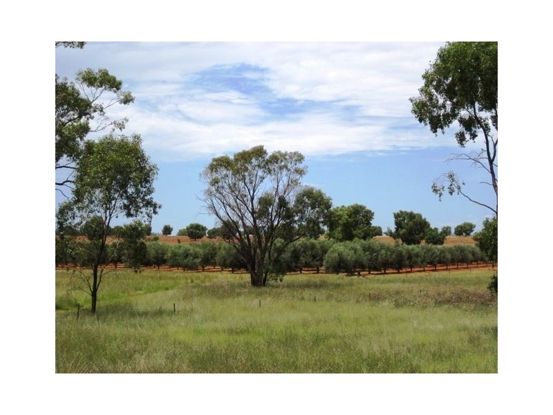 * Okeh, Cobar NSW 2835