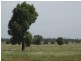 * Okeh, Cobar NSW 2835