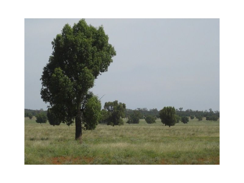 * Okeh, Cobar NSW 2835