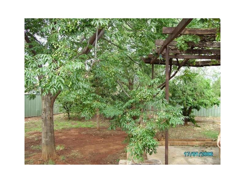 25 Mopone St, Cobar NSW 2835