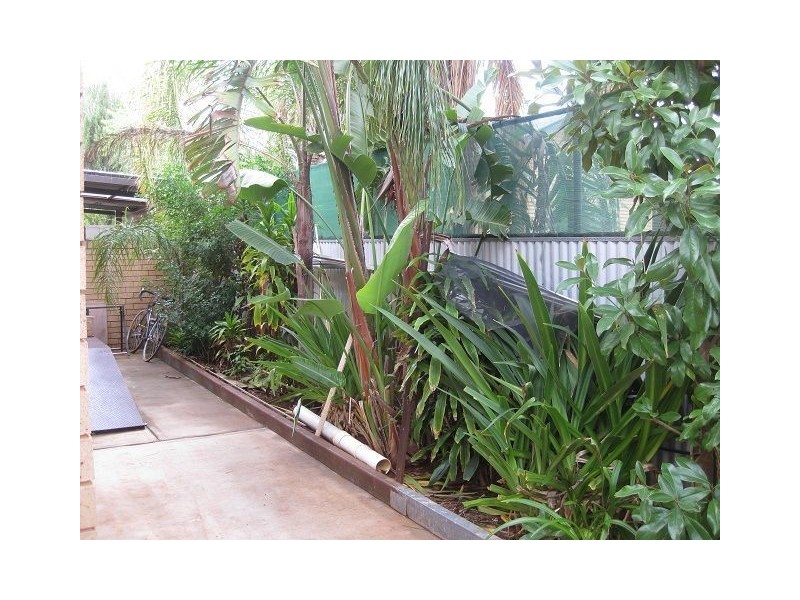 56 Morrison St, Cobar NSW 2835