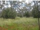 * The Look Out, Cobar NSW 2835