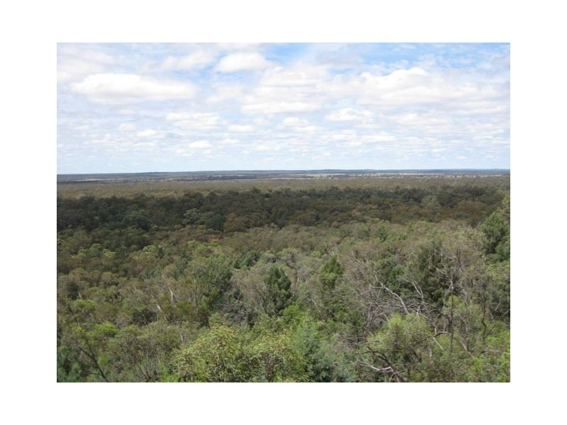 * The Look Out, Cobar NSW 2835