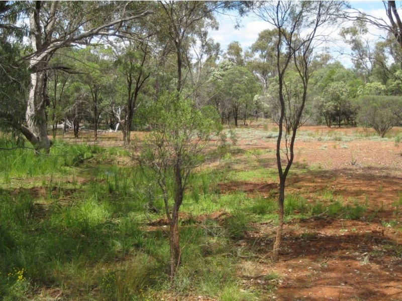 * The Look Out, Cobar NSW 2835