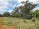* The Look Out, Cobar NSW 2835